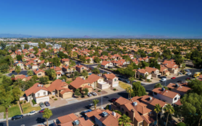 10 Surprising Facts About Termites You Need to Know for Your Home